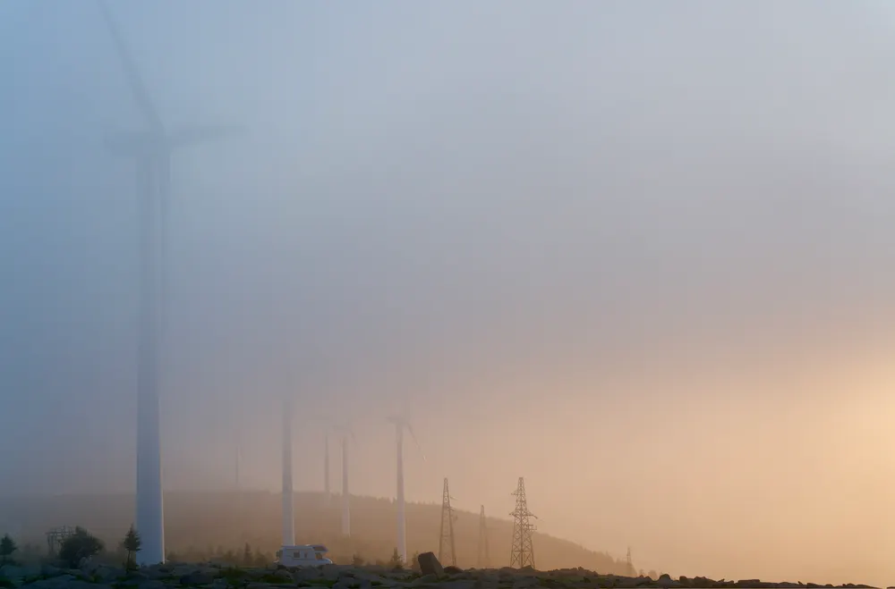 Into the Morning Mist