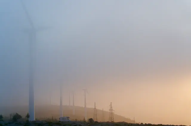Into the Morning Mist