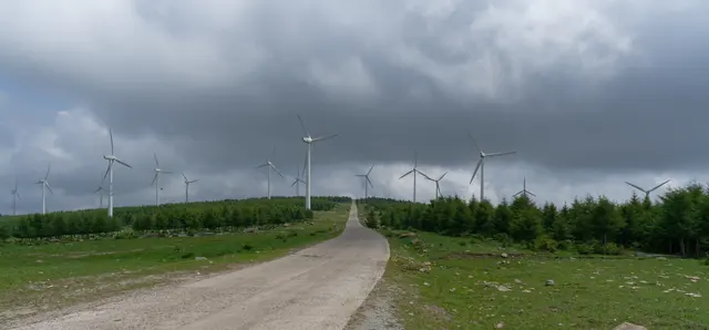 The Road Through