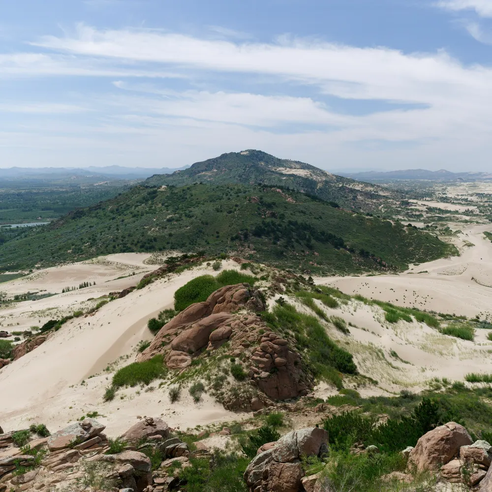 The Long Ridge