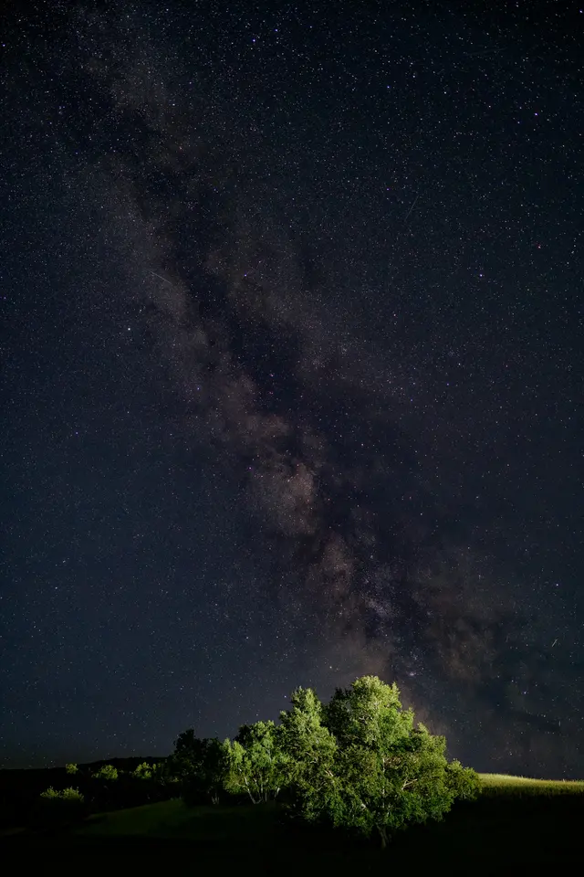 The Night Opens