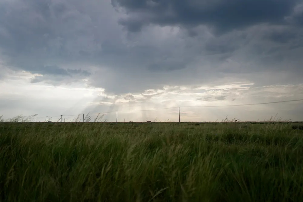 Light Through the Weather