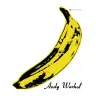 The Velvet Underground & Nico 45th Anniversary cover