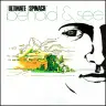 Behold & See cover