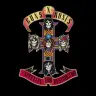 Appetite For Destruction cover