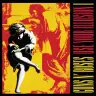 Use Your Illusion I cover