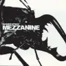 Mezzanine cover